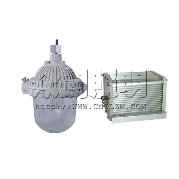 NFE9112應急平臺燈